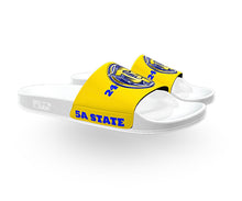 Load image into Gallery viewer, CHS GOLD BACK2BACK CHAMPIONS YOUTH